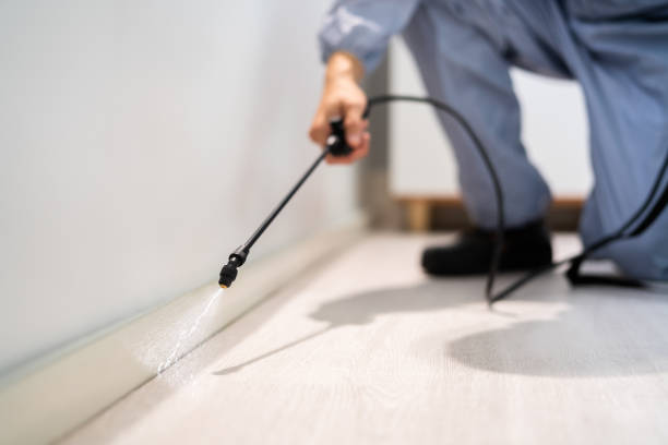 Licensed Pest Control service in Vicksburg, MI - Nex Pest Control