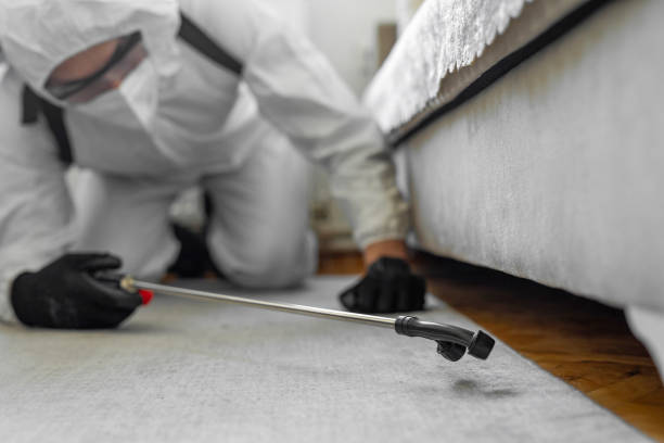 Professional Pest Control technician working in Vicksburg, MI