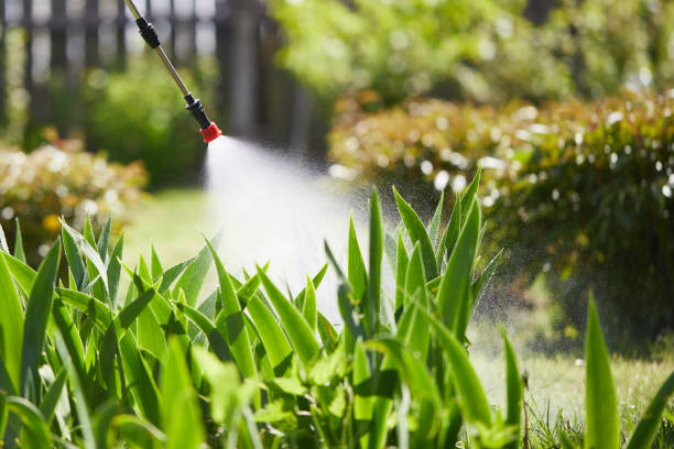 24/7 Emergency Termite Control experts in Vicksburg, MI