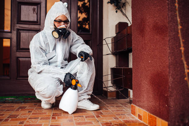 Reliable Termite Control contractor in Vicksburg, MI by Nex Pest Control