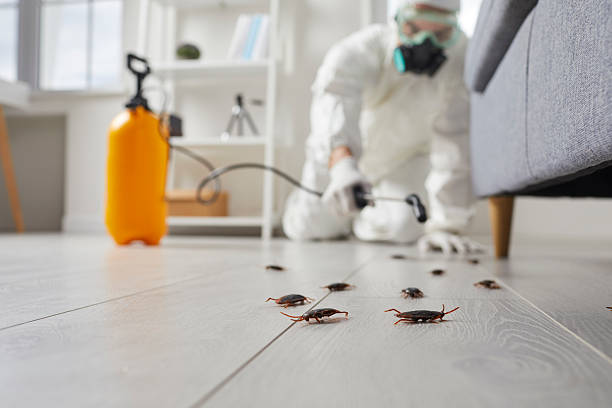 Trusted Mosquito Control service in Vicksburg, MI - Nex Pest Control