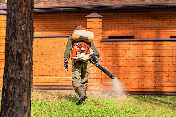 Trusted Cockroach Control service in Vicksburg, MI - Nex Pest Control
